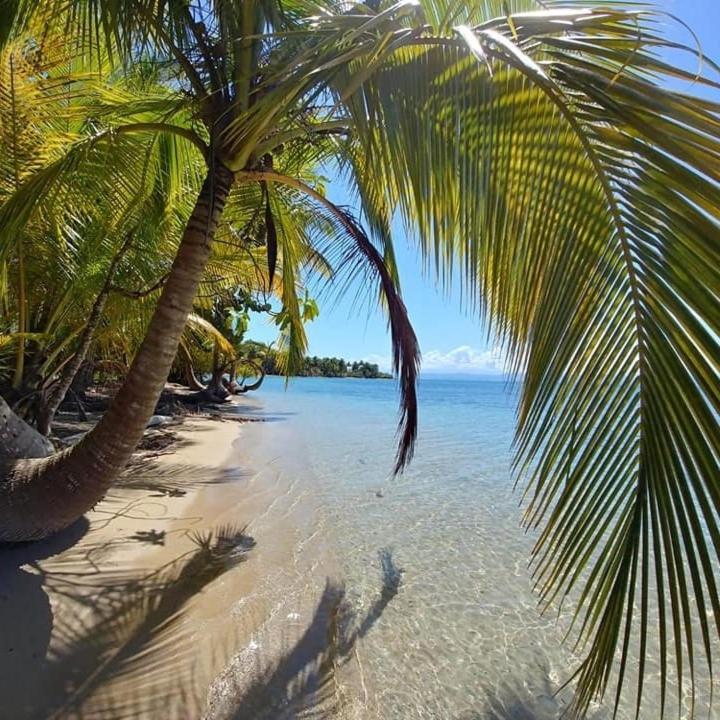 The Sunsetter Bed & Breakfast Bocas del Toro Extérieur photo