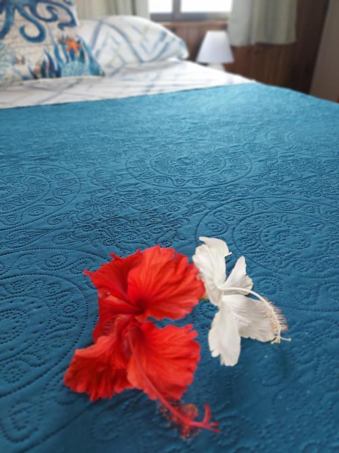 The Sunsetter Bed & Breakfast Bocas del Toro Extérieur photo