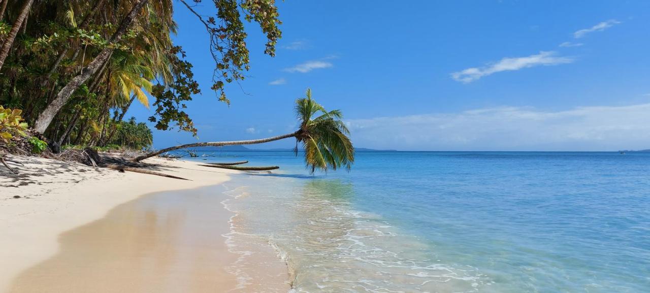 The Sunsetter Bed & Breakfast Bocas del Toro Extérieur photo
