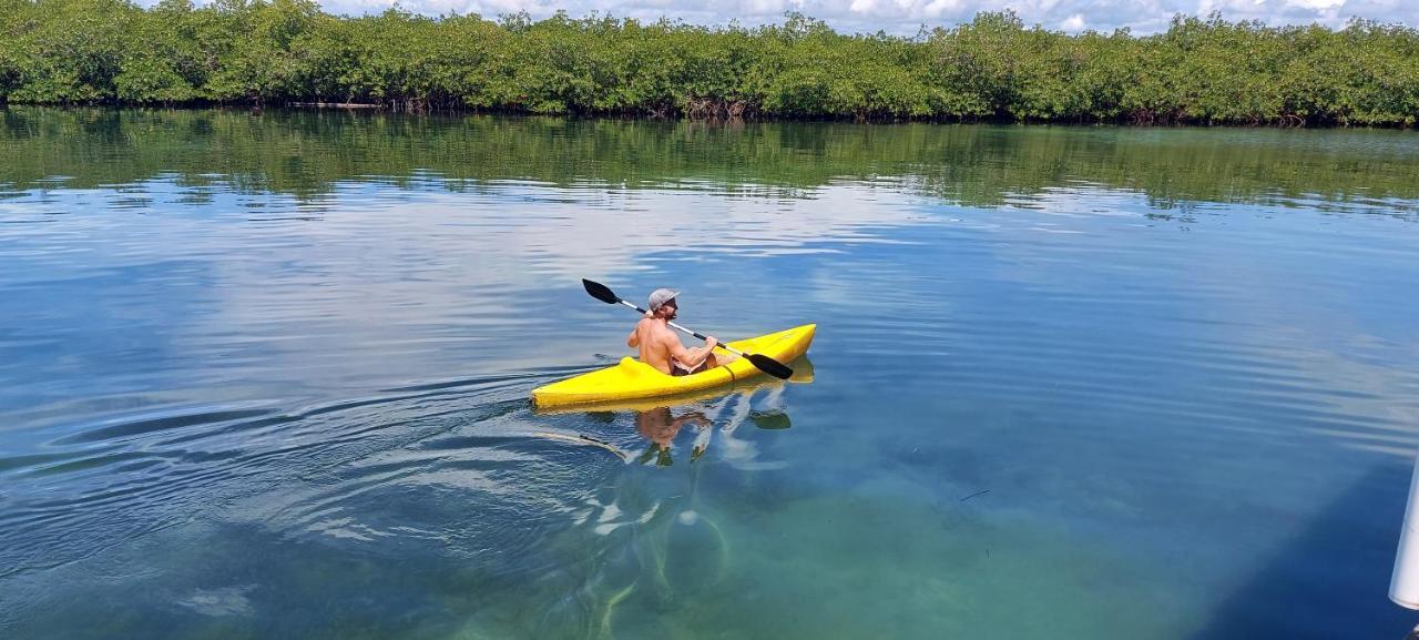 The Sunsetter Bed & Breakfast Bocas del Toro Extérieur photo